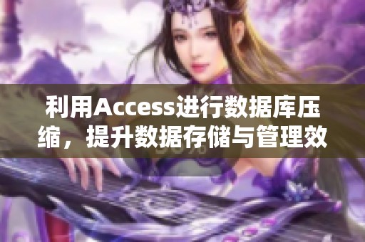 利用access进行数据库压缩，提升数据存储与管理效率