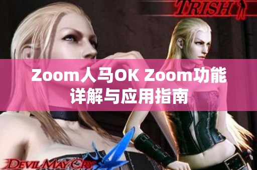 zoom人马ok zoom功能详解与应用指南